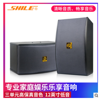 狮乐BX-119专业10英寸KTV卡拉OK音箱 会议培训室背景音乐音响
